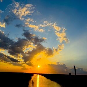 Meet your Posher, Bianca